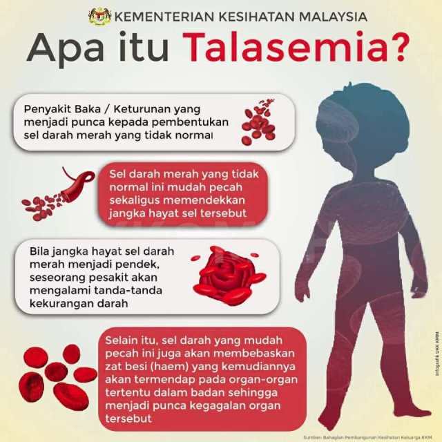 Berapa peratus pembawa thalasemia di malaysia